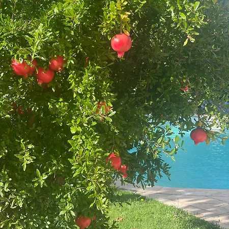 Confortable With Pool 4br 6-8 People Montelimar