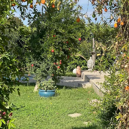 Holiday home Confortable With Pool 4br 6-8 People Montelimar